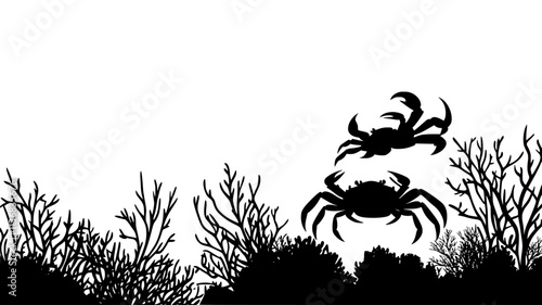 Underwater view of crab walking sideways across coral reef, Animal Illustration