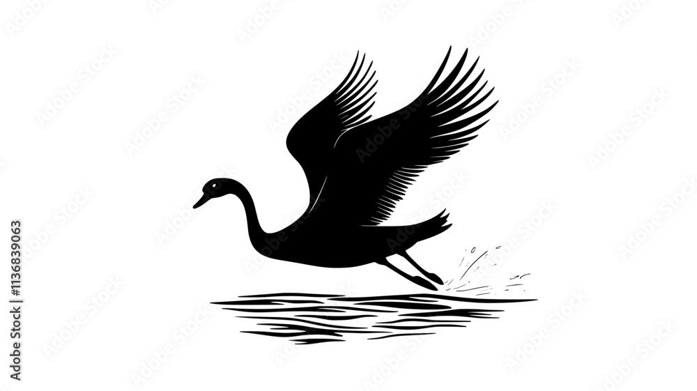 Fototapeta premium Swan rises from the water, its feet pushing off the surface, wings flapping, Animal Vector Graphic