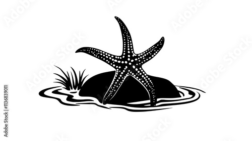 Starfish clinging to a rock in a tide pool with tentacles extended, Animal Vector Graphic