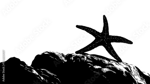 A starfish lies motionless on a rocky surface, five arms evenly spread out, Animal Vector Graphic