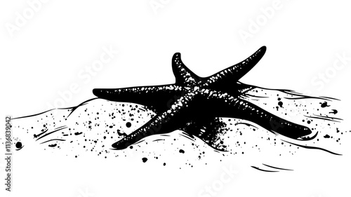 A starfish remains partially buried in sand, with only a few arms visible, Animal Vector Graphic