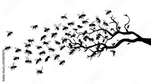 Swarm of bees clustered on a tree branch, Animal Vector Graphic
