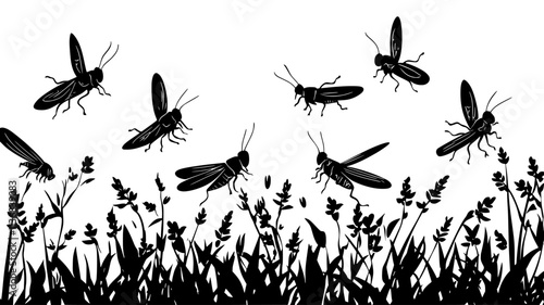 Swarm of grasshoppers feeding on crop field, Animal Vector Graphic