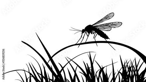 The mosquito perches on a blade of grass, wings held upward as it surveys the area, Animal Vector Graphic