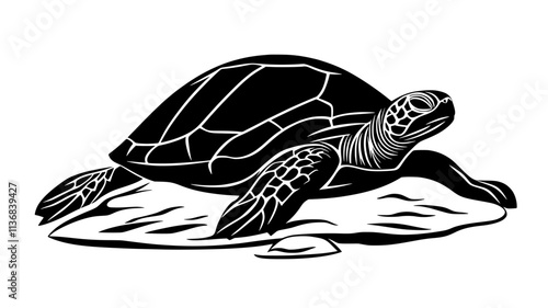 Turtle sitting on a flat rock, its head and legs extended outward from its shell, Animal Vector Graphic