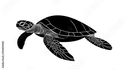 Turtle swimming underwater, moving forward with its flippers extended outward, Animal Vector Graphic