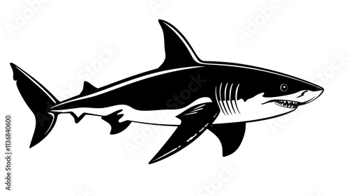 Shark swimming in clear water, casting faint shadow on sandy ocean floor, Animal Digital Art