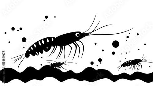 Shrimp near other shrimp, swimming close to seabed, Animal Digital Art