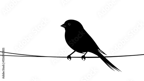 Sparrow sitting on a wire, looking straight ahead, body perfectly balanced, Animal Digital Art