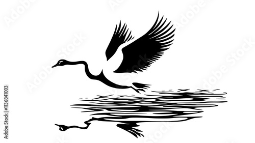Swan taking off from the water surface with wings fully extended, Animal Digital Art