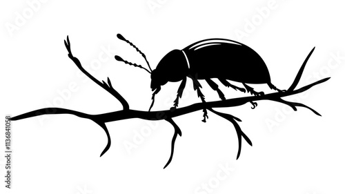 The beetle climbs over a branch, using its mandibles to explore its path, Animal Digital Art