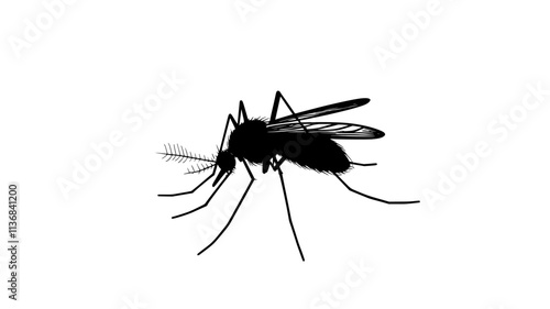 The mosquito lands on a flat surface, standing still to sense its surroundings, Animal Digital Art