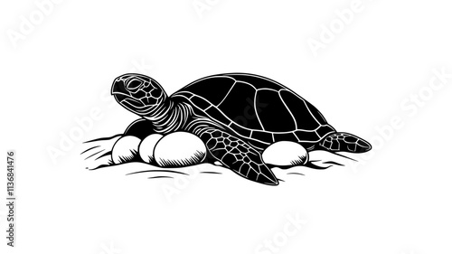 Turtle laying eggs in a sandy nest on a beach, Animal Digital Art