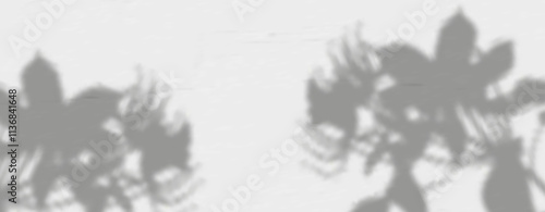 Glare from the sun's rays on the wall. Blurred shadows from leaves and plants in the room. Soft overlay of natural light. Abstract background for product presentation.Natural light layout.