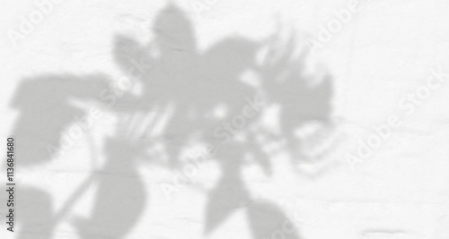 Glare from the sun's rays on the wall. Blurred shadows from leaves and plants in the room. Soft overlay of natural light. Abstract background for product presentation.Natural light layout.