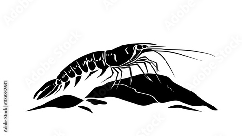Shrimp on rock, gripping surface with legs, staying still, Vectorized Animal Art