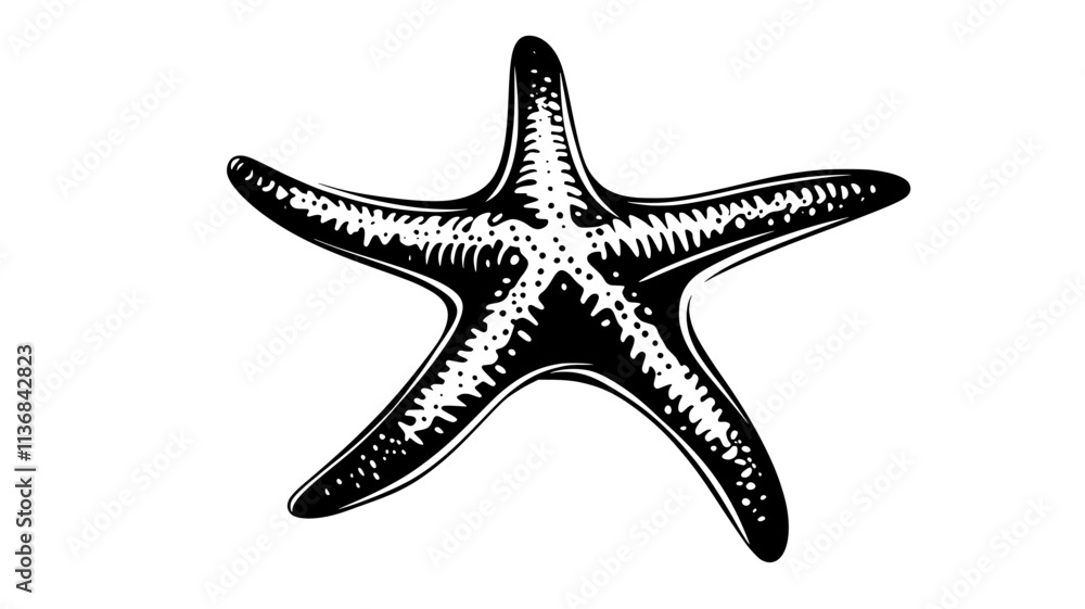 A starfish clings to a submerged object, using its tube feet for secure attachment, Vectorized Animal Art A starfish clings to a submerged object, using its tube feet for secure attachment, Vectorized Animal Art