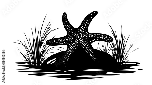 Starfish clinging to a rock in a tide pool with tentacles extended, Vectorized Animal Art