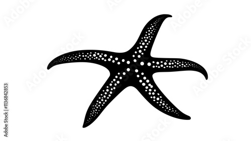 Starfish regenerating a lost arm with new growth visible, Vectorized Animal Art