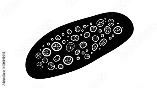 Internal digestive process of a paramecium, showing food vacuoles forming inside the cell, Vectorized Animal Art