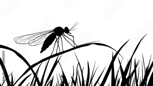 The mosquito perches on a blade of grass, wings held upward as it surveys the area, Vectorized Animal Art