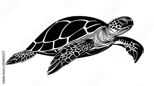 Turtle retracting its head into its shell when approached, Vectorized Animal Art