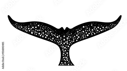 Whale tail covered in barnacle colonies of various sizes, Vectorized Animal Art