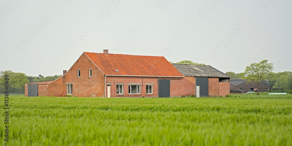 Brickwork farm buildings in a fresh green spring meadow an forest under a cloudy rainy sky near Turnhout, Flanders, Belgium Brickwork farm buildings in a fresh green spring meadow an forest under a cloudy rainy sky near Turnhout, Flanders, Belgium