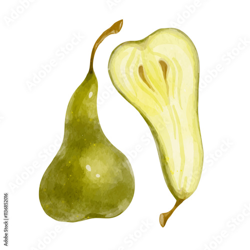 Juicy, ripe pear fruits. Vector graphics.