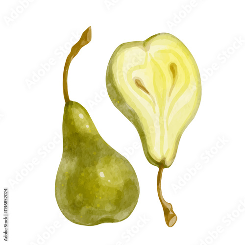 Juicy, ripe pear fruits. Vector graphics.