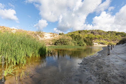 Torrent and wetland on the beach of Cala Mesquida, on the island of Mallorca. Balearic Islands, Spain photo