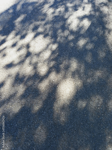 tree shadows on asphalt background. Abstract background texture of shadows.