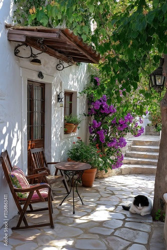 Cat relaxing in the shade of a picturesque mediterranean patio