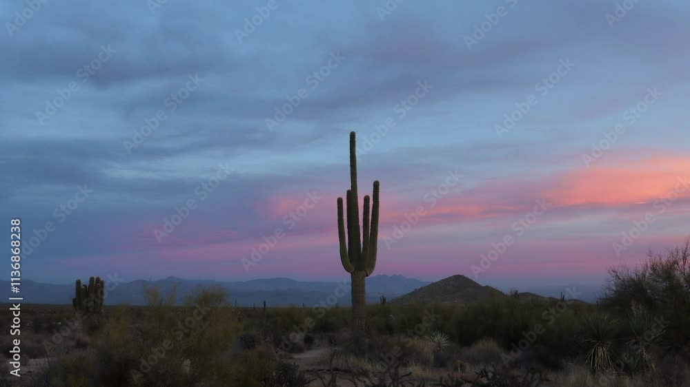 Arizona Desert Sunset Time-Lapse Featuring A Saguaro Cactus In The Foreground. 
