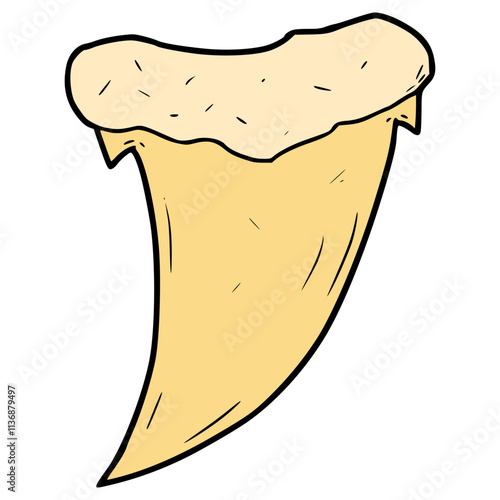 shark tooth illustration hand drawn isolated vector