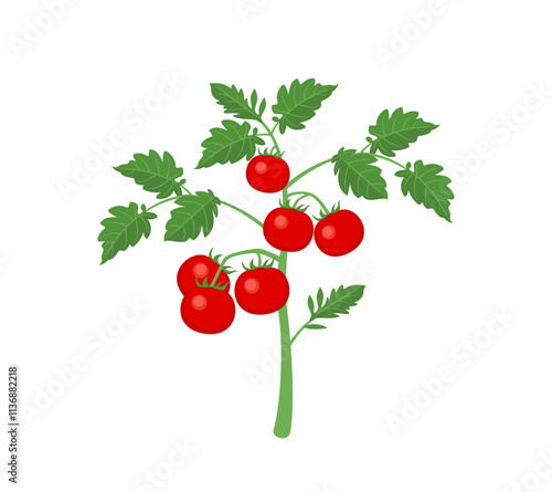 Tomato plant isolated on white background. Vector cartoon flat illustration.