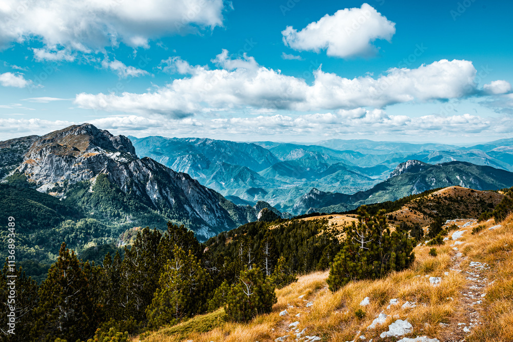 Landscape with Bosnian mountain Prenj Landscape with Bosnian mountain Prenj