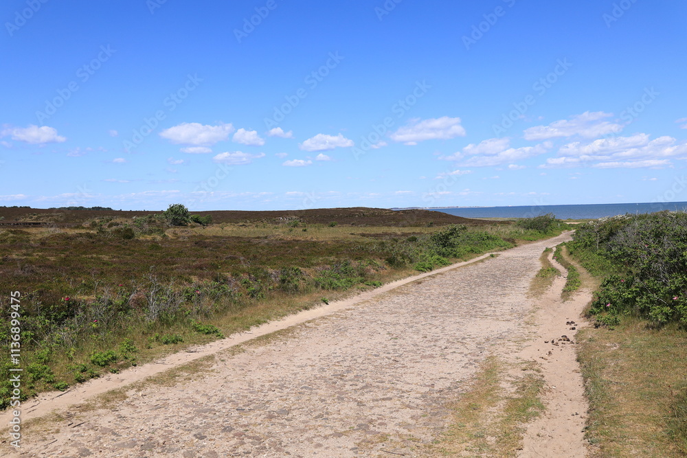 Blick auf die Braderuper Heide auf der Nordseeinsel Sylt Blick auf die Braderuper Heide auf der Nordseeinsel Sylt