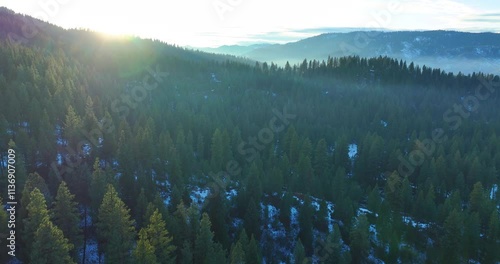 Aerial Drone Idaho Pacific Northwest Wild Beauty photo