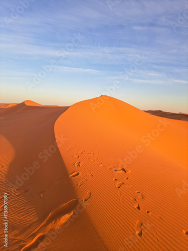 Sahara Desert