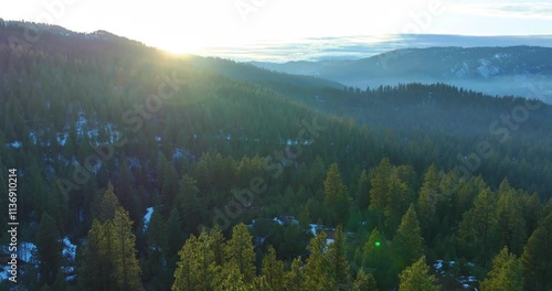 Drone Over Pacific Northwest Idaho’s Vast Forests