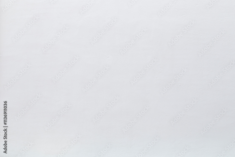 Front view of a clean, blank and new plastered wall painted in white on sunny day. Abstract high resolution full frame textured background with copy space. Front view of a clean, blank and new plastered wall painted in white on sunny day. Abstract high resolution full frame textured background with copy space.