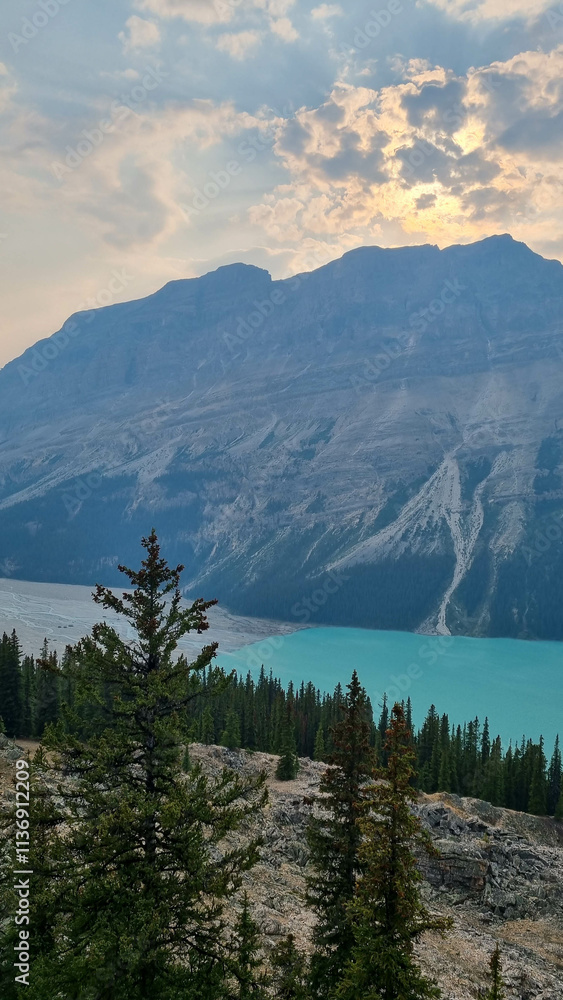 Obraz premium Peyto Lake in Banff National Park, Alberta. Glacier-fed lake with a unique wolf-head shape and vivid turquoise color. In Canadian Rockies, a popular tourist viewpoint along the Icefields Parkway.