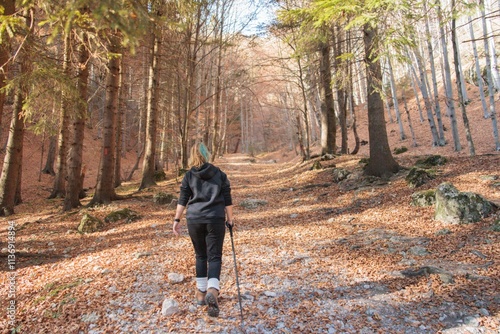 Amidst the golden leaves carpeting the forest floor, a hiker traverses a quiet path, surrounded by tall trees. The serene atmosphere invites exploration and reflection photo