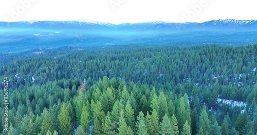 Idaho Aerial Drone Wilderness Treeline Horizons photo