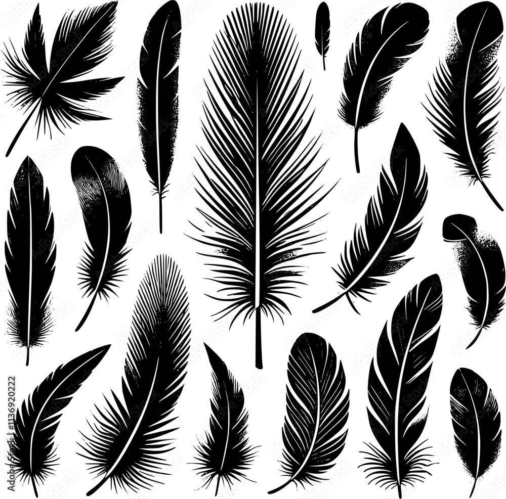 Obraz premium Detailed majestic feather collection. Feather silhouettes set.