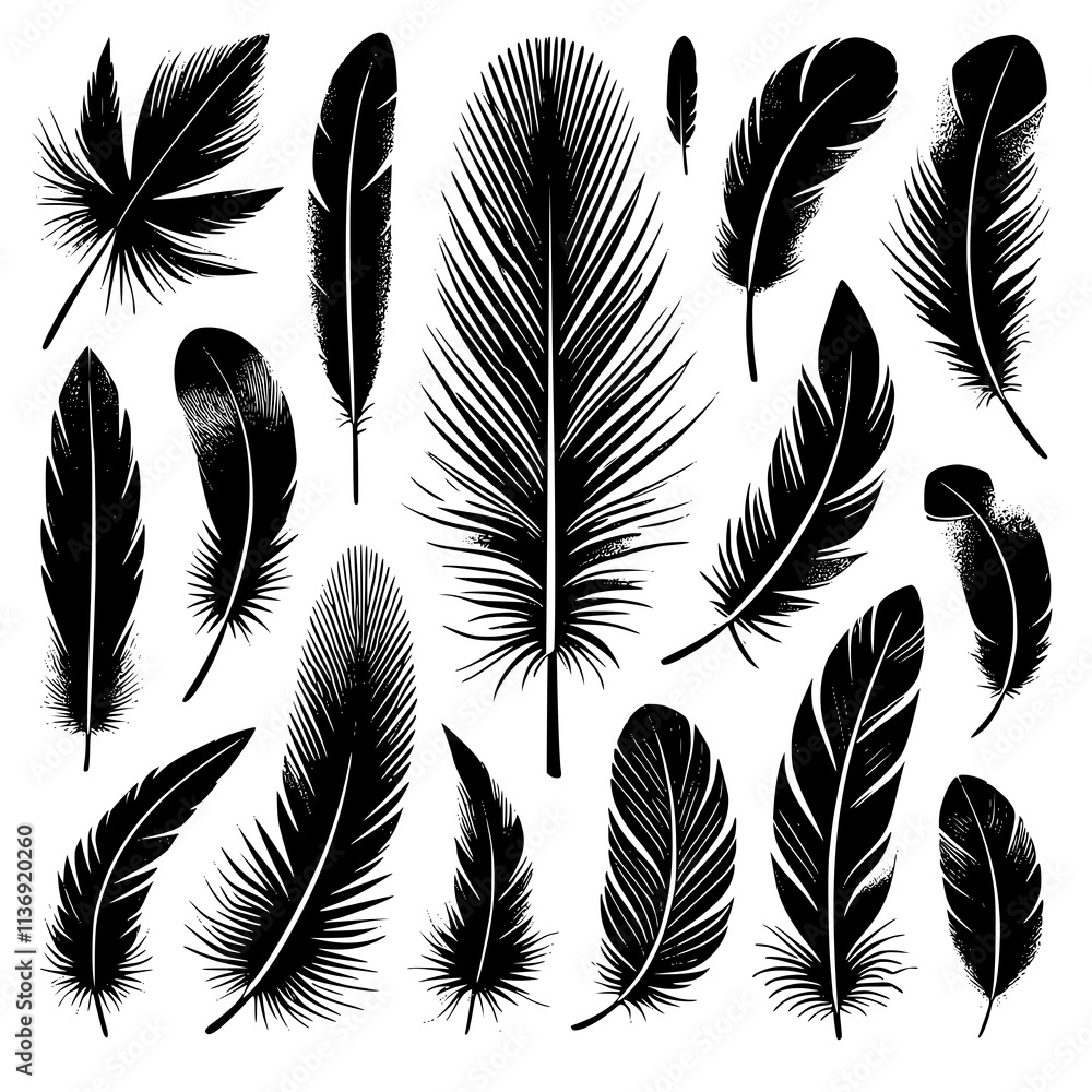 Obraz premium Detailed majestic feather collection. Feather silhouettes set. JPEG version.