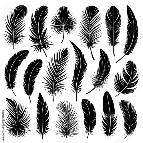 Detailed majestic feather collection. Feather silhouettes set. JPEG version. photo