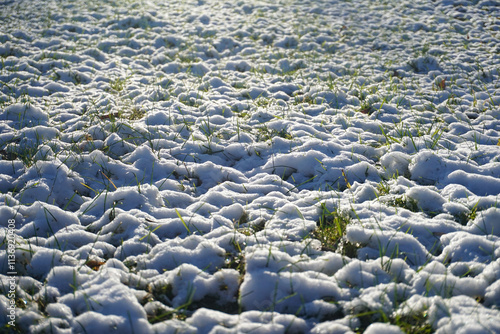 A serene winter landscape showcases a blanket of snow covering the ground, with hints of grass peeking through, creating a peaceful scene