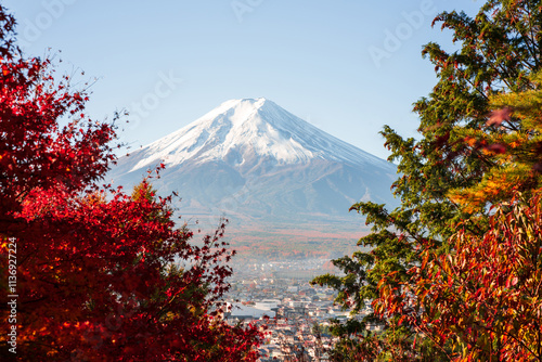 Mount Fuji, Japan - November 22 2024: The famous fuji mountain in during clear morning daylight with red autumn japanese maple leaves and no clouds. beautiful scenery famous travel vacation place